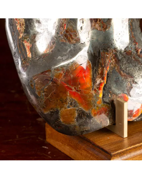 Ammonite Opalizzata con Pirite – Un Fossile di Squisita Bellezza.