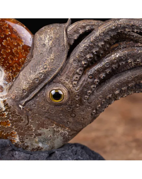 Scultura Ammonite
