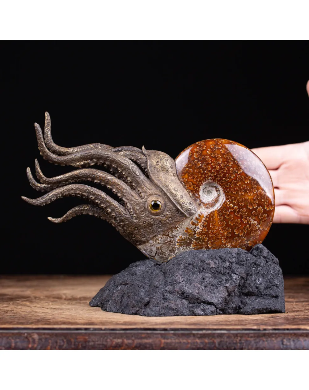Scultura Ammonite