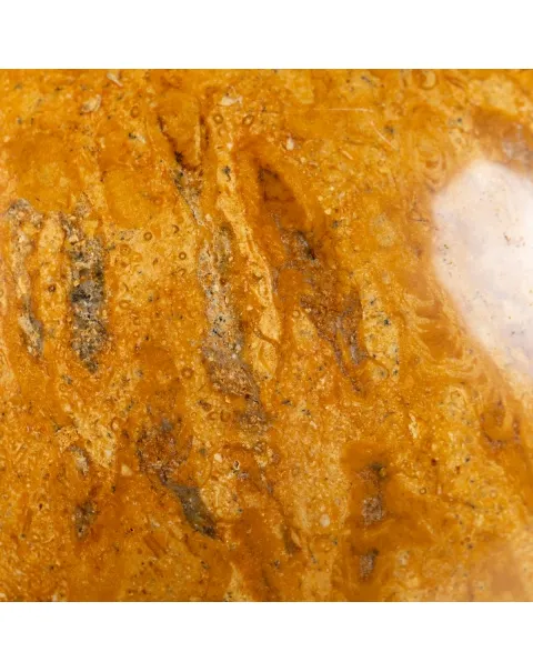 Sfera in Corallo Fossile