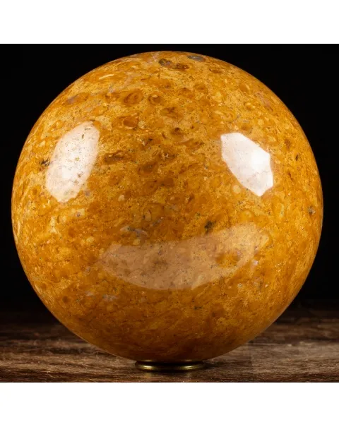 Sfera in Corallo Fossile