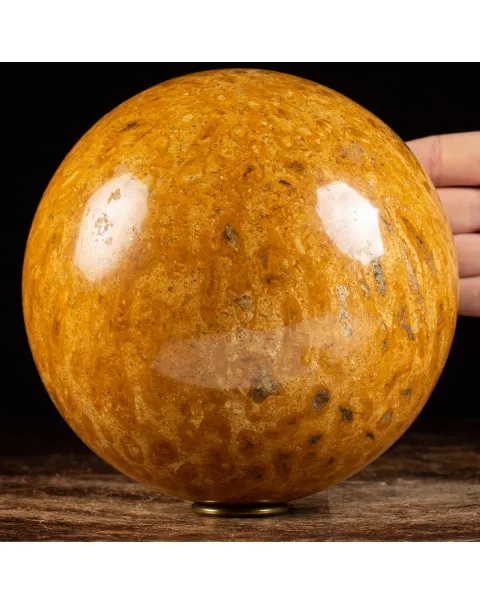 Sfera in Corallo Fossile