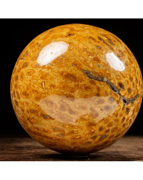 Sfera in Corallo Fossile