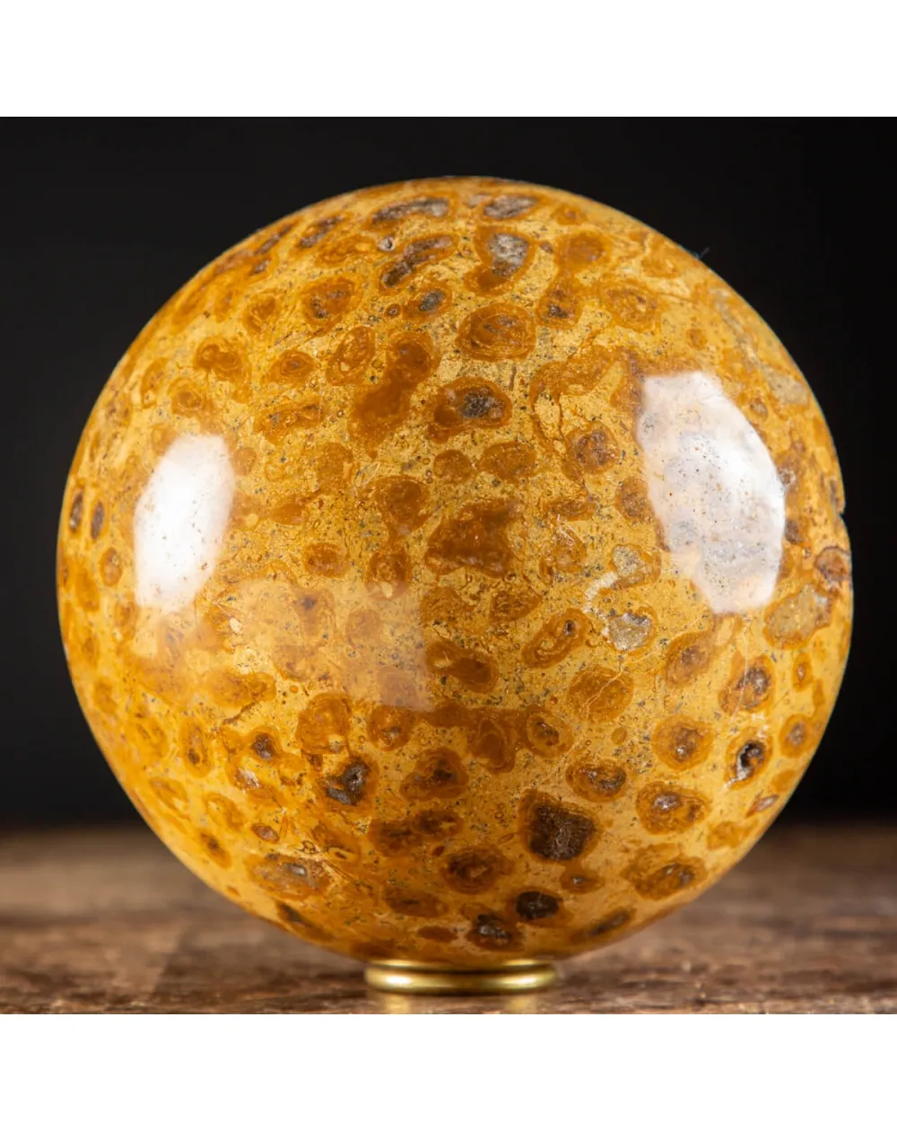 Sfera in Corallo Fossile