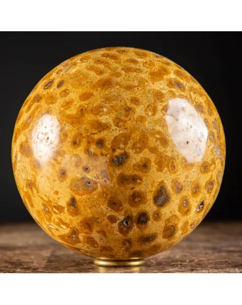 Sfera in Corallo Fossile