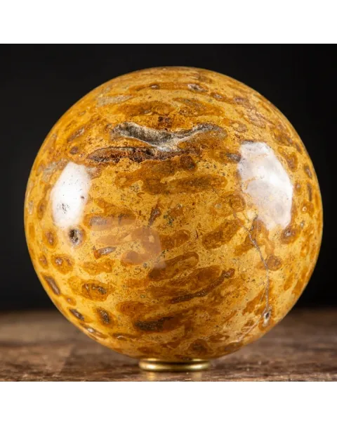 Sfera in Corallo Fossile
