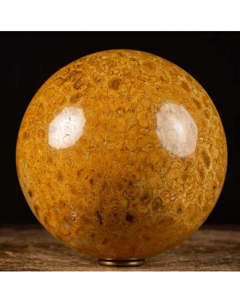 Sfera in Corallo Fossile