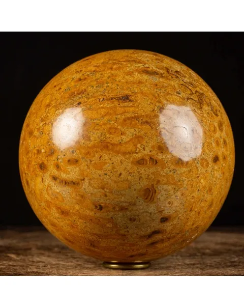 Sfera in Corallo Fossile