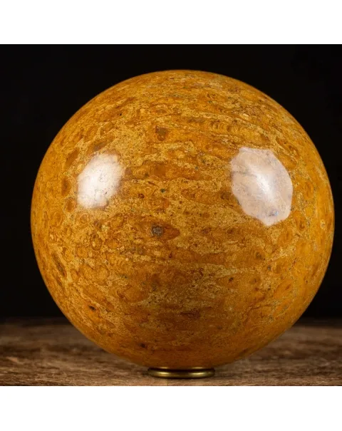Sfera in Corallo Fossile