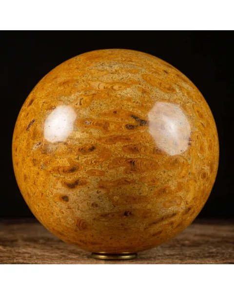 Sfera in Corallo Fossile