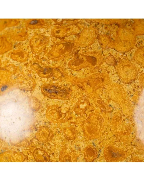 Sfera in Corallo Fossile