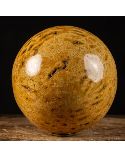 Sfera in Corallo Fossile