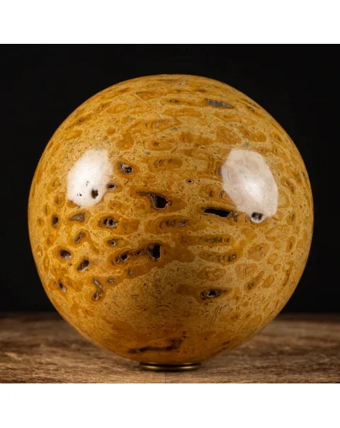 Sfera in Corallo Fossile