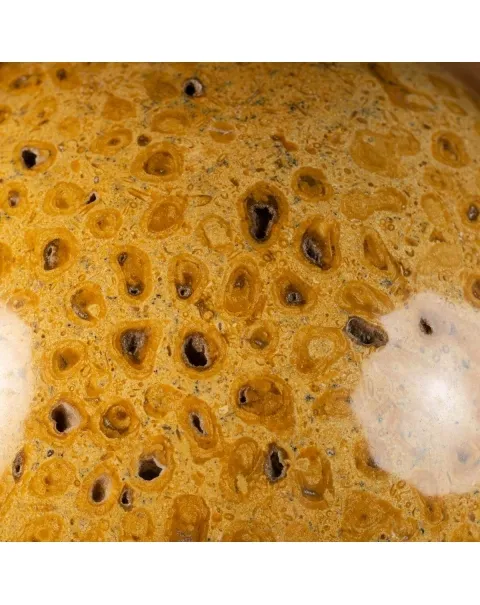 Sfera in Corallo Fossile