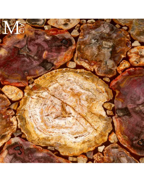 Tavolo in Legno Fossile del Madagascar