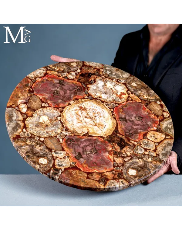 Tavolo in Legno Fossile - Atlante Geologico da Int...