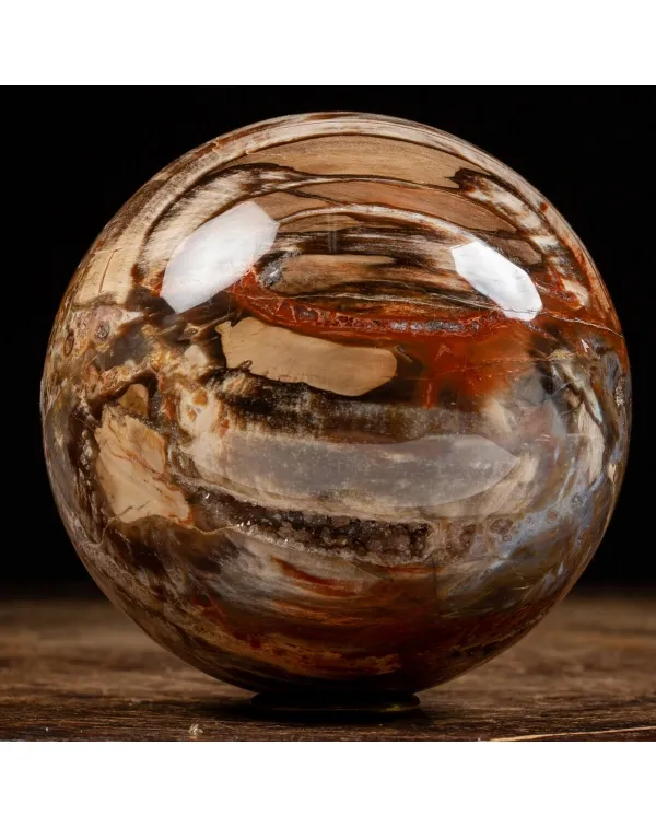 Sfera di Legno Pietrificato