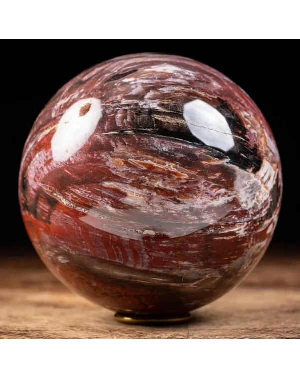 Sfera di Legno Pietrificato