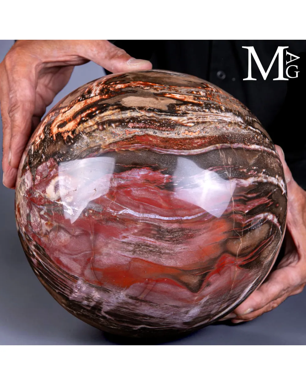 Sfera in Legno Fossile del Madagascar - 225 mm