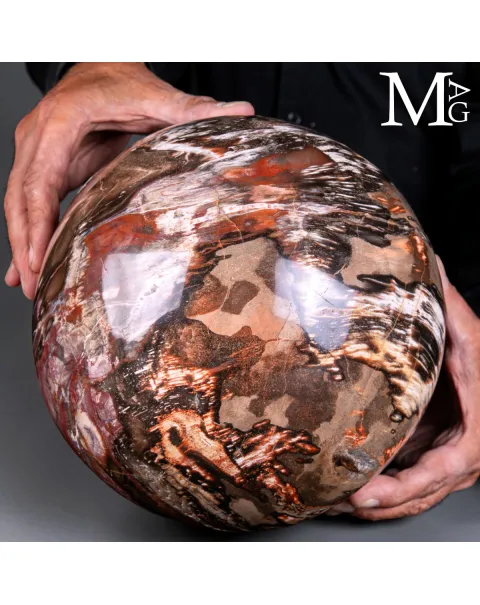 Sfera in Legno Fossile del Madagascar - 225 mm