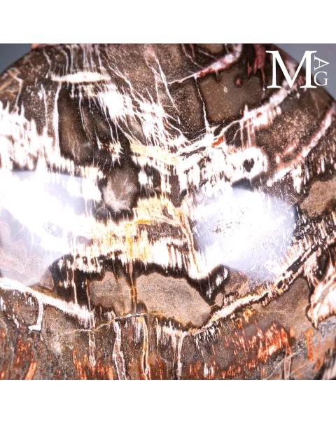 Sfera in Legno Fossile del Madagascar - 225 mm