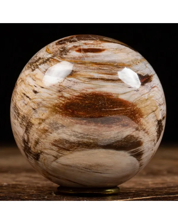 Sfera di Legno Pietrificato
