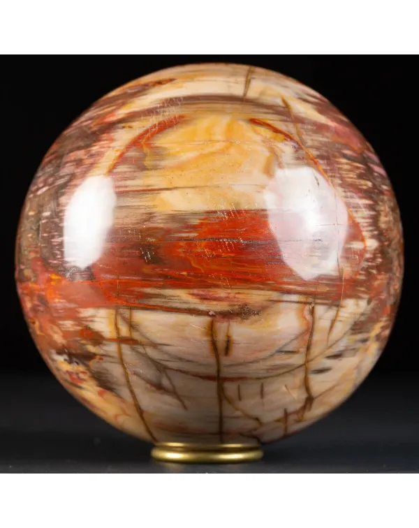 Sfera di Legno Pietrificato