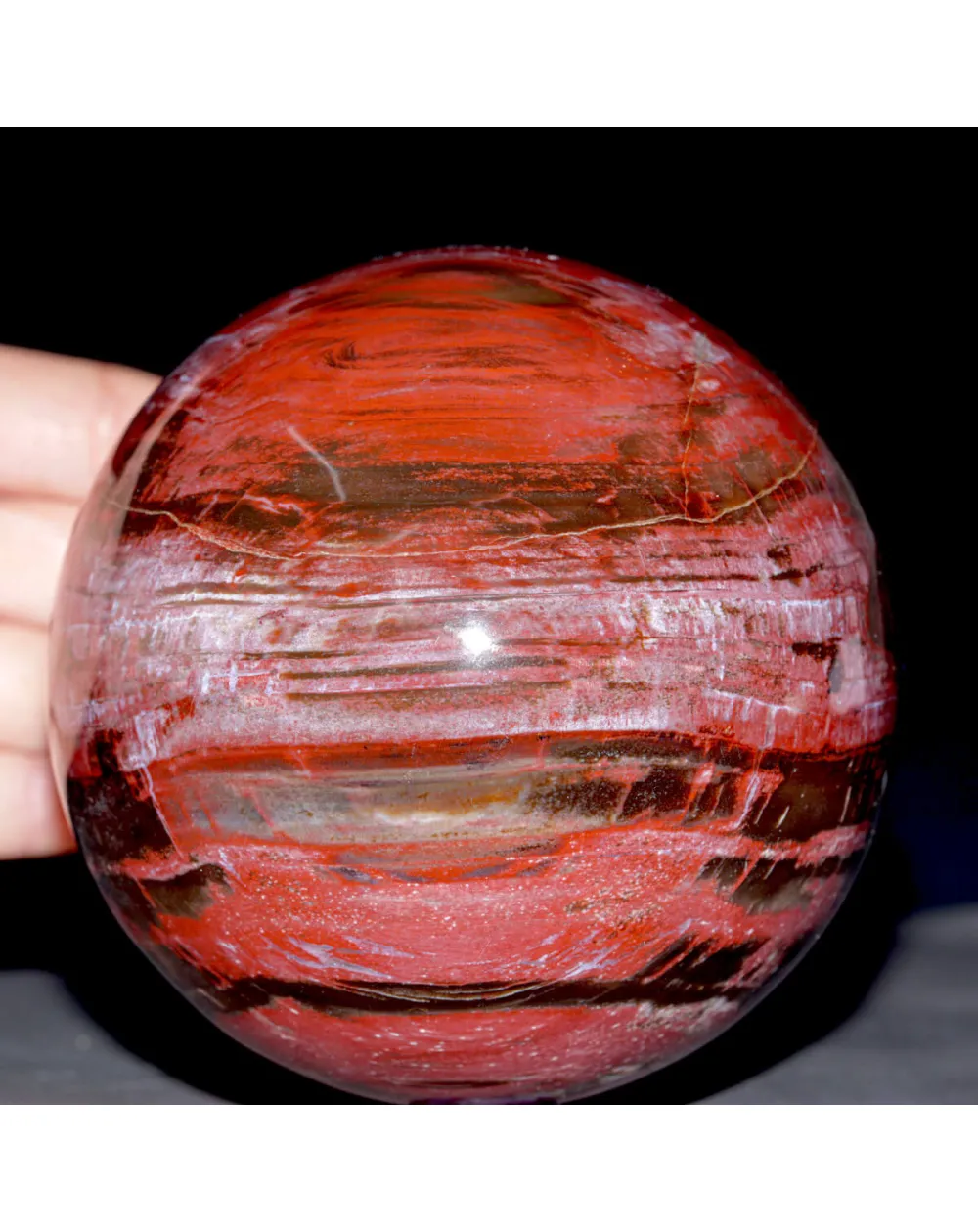 Sfera di Legno Fossile del Madagascar.