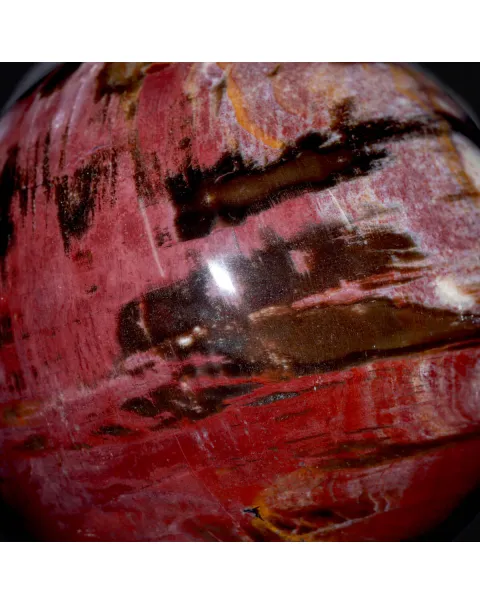 Sfera in Legno Fossile del Madagascar.