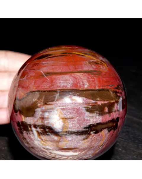 Sfera in Legno Fossile del Madagascar.