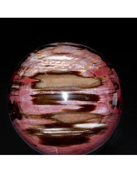 Sfera in Legno Fossile del Madagascar.