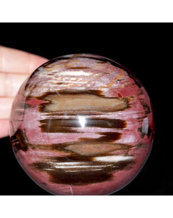 Sfera in Legno Fossile del Madagascar.