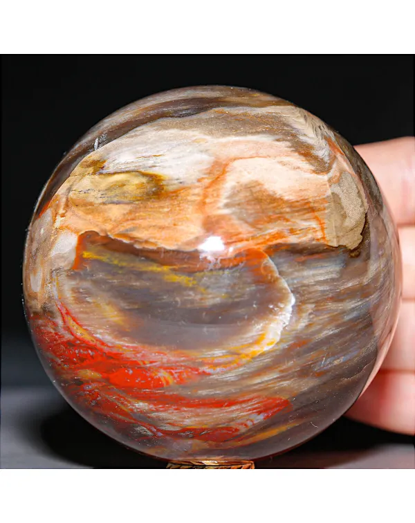 Sfera in Legno Fossile Policromo del Madagascar.