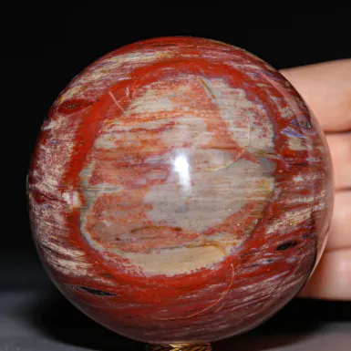 Sfera in Legno Fossile Rosso.