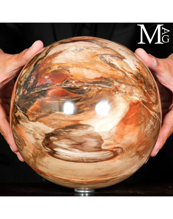 Grande Sfera in Legno Fossile – Testimone Silenz...