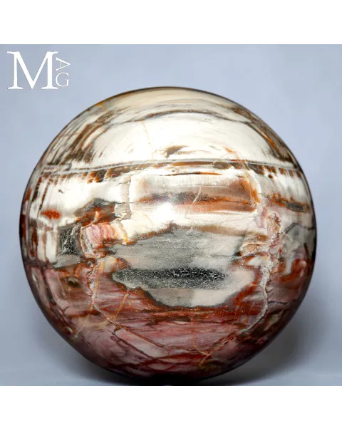 Sfera in Legno Fossile del Madagascar - Triassico