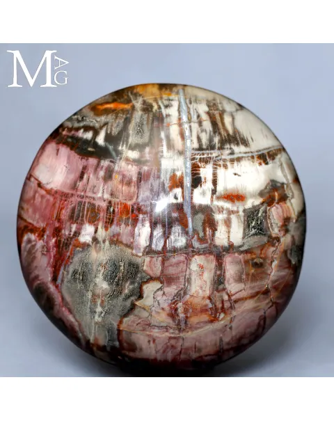 Sfera in Legno Fossile del Madagascar - Triassico