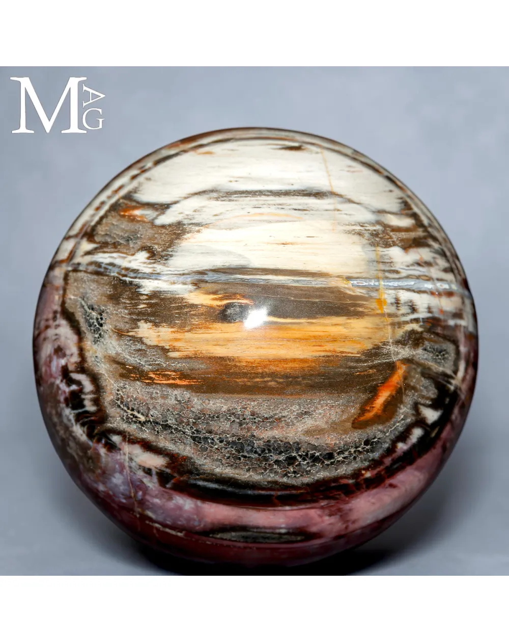 Sfera in Legno Fossile del Madagascar - Triassico