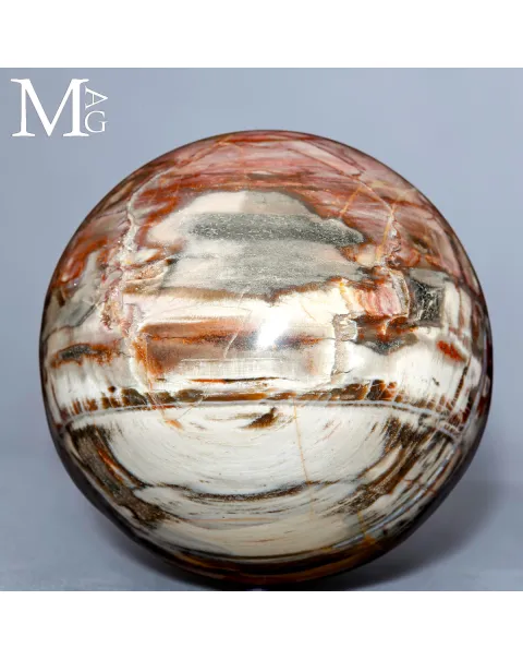 Sfera in Legno Fossile del Madagascar - Triassico