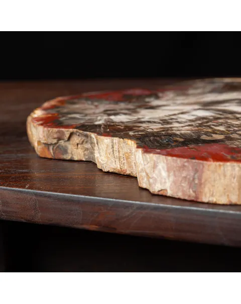 Sezione di Legno Fossile del Triassico.