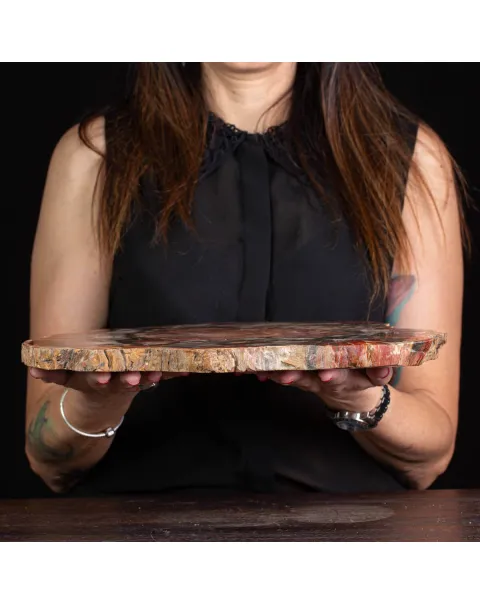Un’Opera d’Arte Naturale: Legno Fossile.