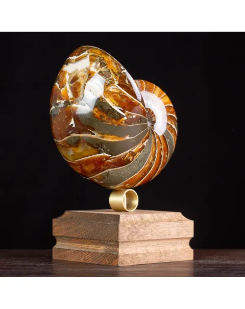 Nautilus Fossile: Eleganza Antica.