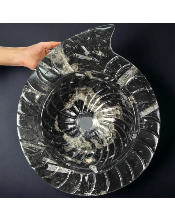 Lavandino Preistorico - Matrice Fossile