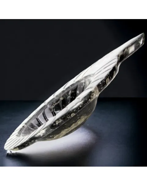 Lavandino Preistorico - Matrice Fossile