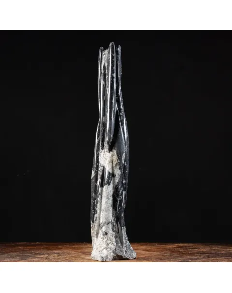 Torre con Orthoceras Fossili