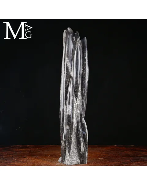 Torre Fossile di Orthoceras
