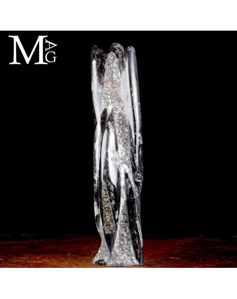 Colonna Fossile in Orthoceras – Il Viaggio del Tempo