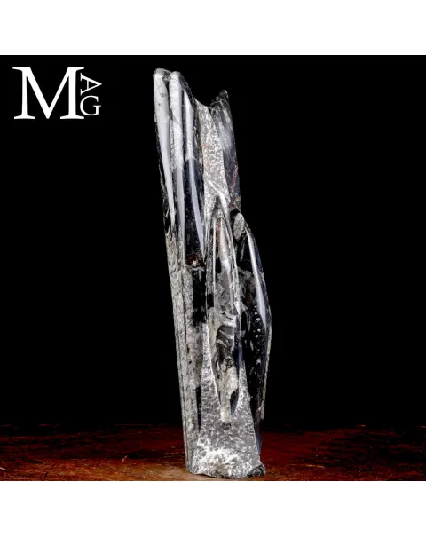 Colonna Fossile in Orthoceras – Il Viaggio del Tempo