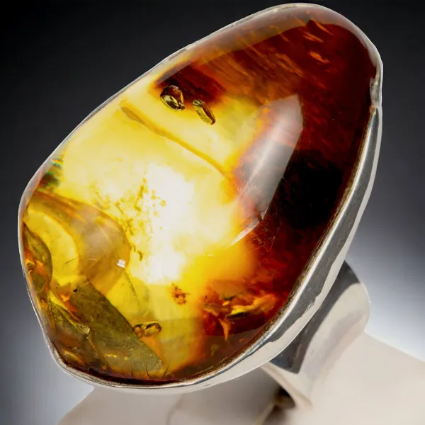 Anello Ambra Baltica: Gemma Bicolore.