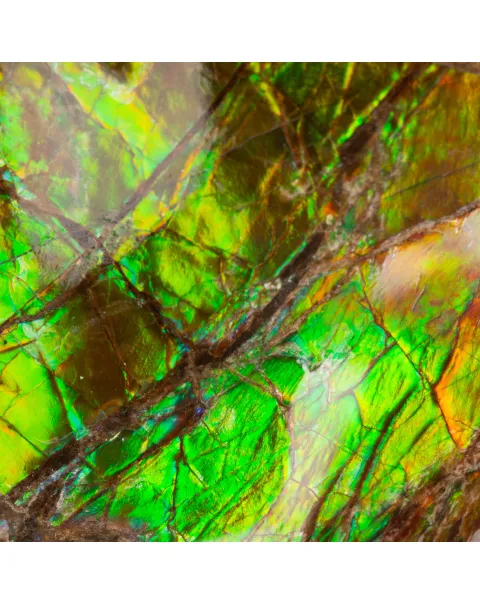 Ciondolo in Argento con Ammolite: La Magia dei Riflessi.